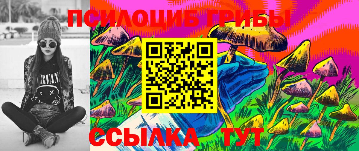 Галлюциногенные грибы Magic Shrooms Фрязино